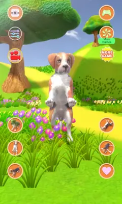 Talking Dog Crazy android App screenshot 12