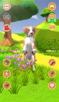 Talking Dog Crazy android App screenshot 6